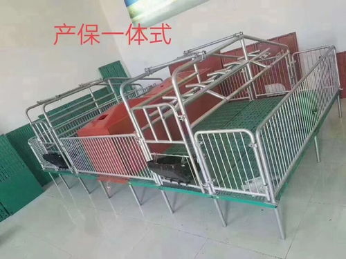 母豬產床與保育床兩用設備 提升養豬效率的關鍵