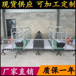 養豬設備升級 從母豬產床到全復合板雙體產床，助力高效養殖